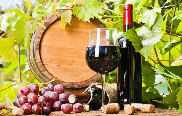 cẩm nang chọn rượu vang đỏ pháp ngon