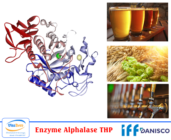 enzyme trong sản xuất bia rượu enzyme amylase THP